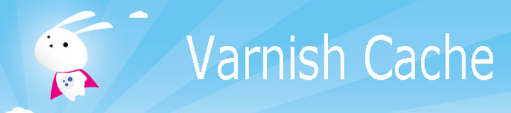 Reading PHP session from Varnish Cache